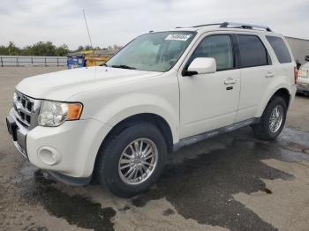  Salvage Ford Escape