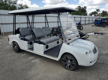  Salvage Luxe Golf Cart