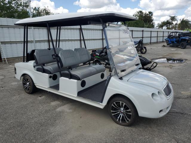  Salvage Luxe Golf Cart