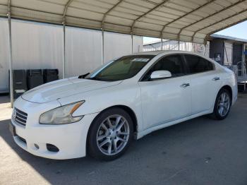  Salvage Nissan Maxima