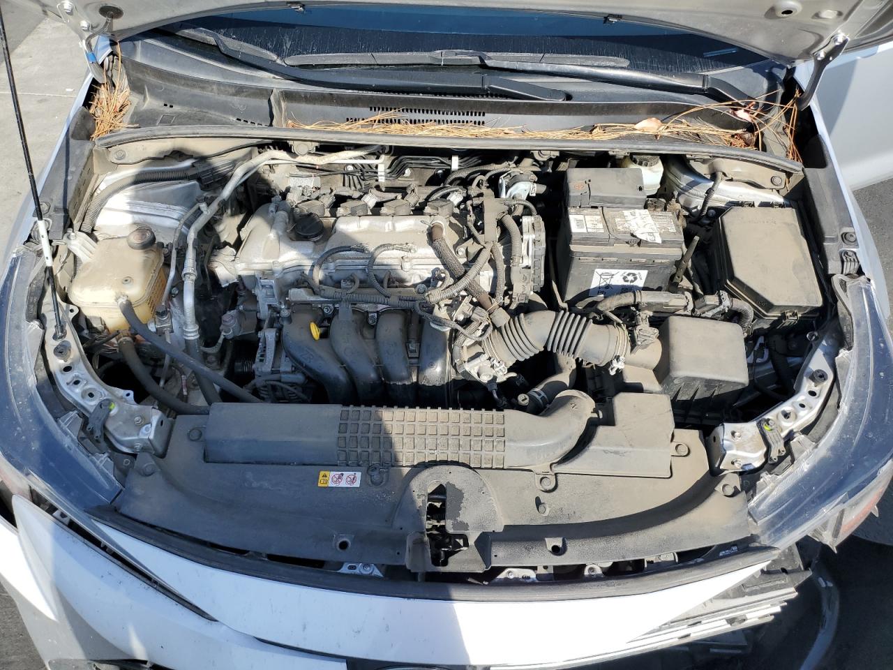 Toyota Corolla Le Image 12