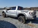 Ford F-150 Raptor Image 2