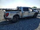 Ford F-150 Raptor Image 3