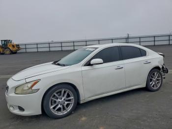  Salvage Nissan Maxima