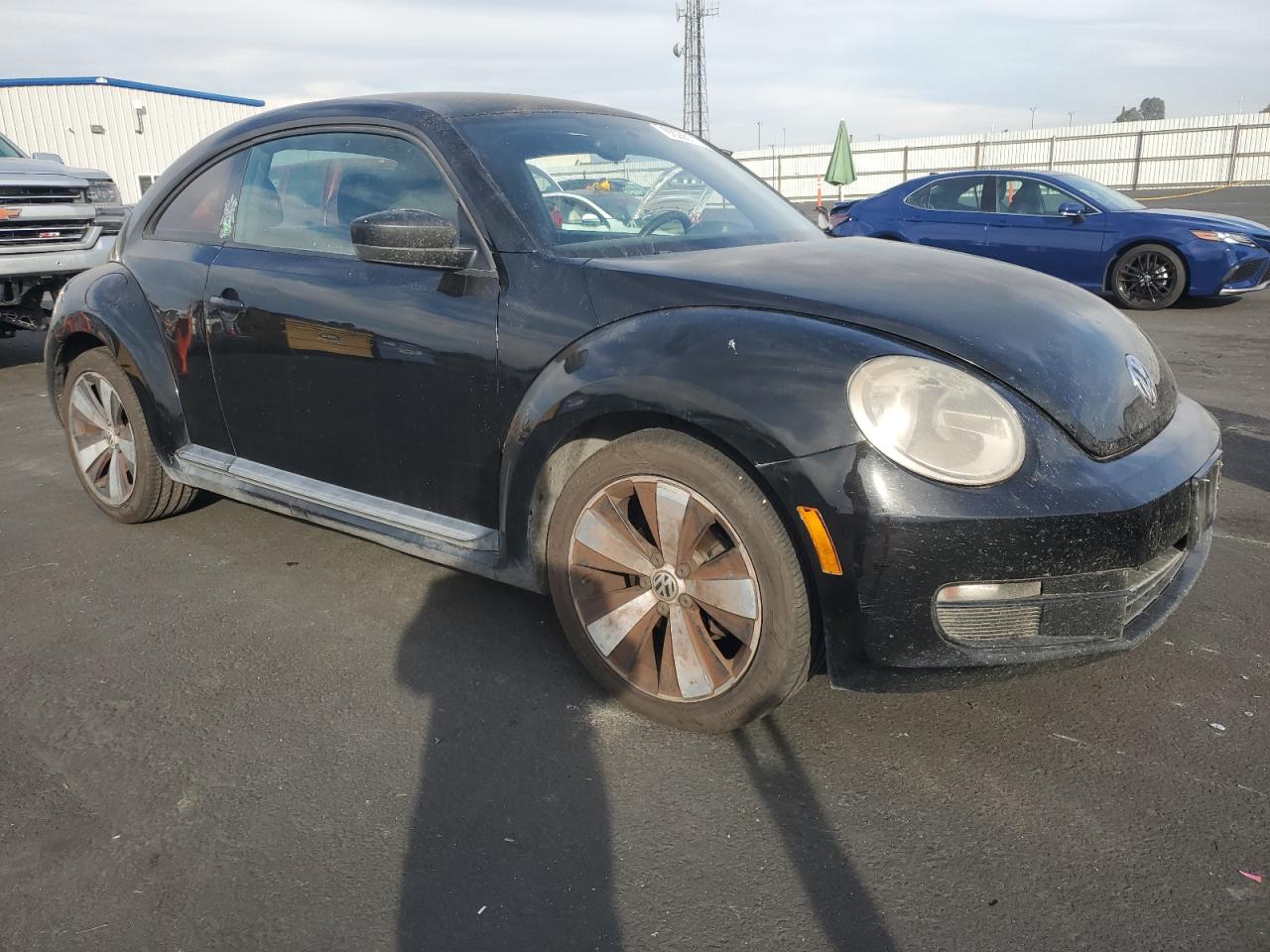 Volkswagen Beetle Image 4
