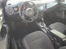 Volkswagen Beetle Image 5