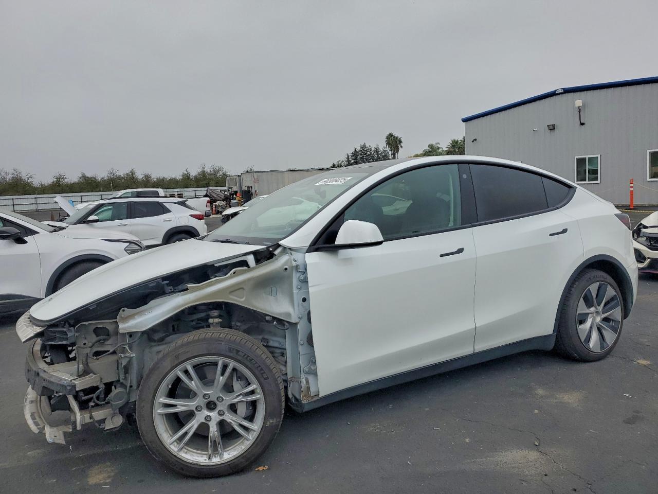 Tesla Model Y Image 1