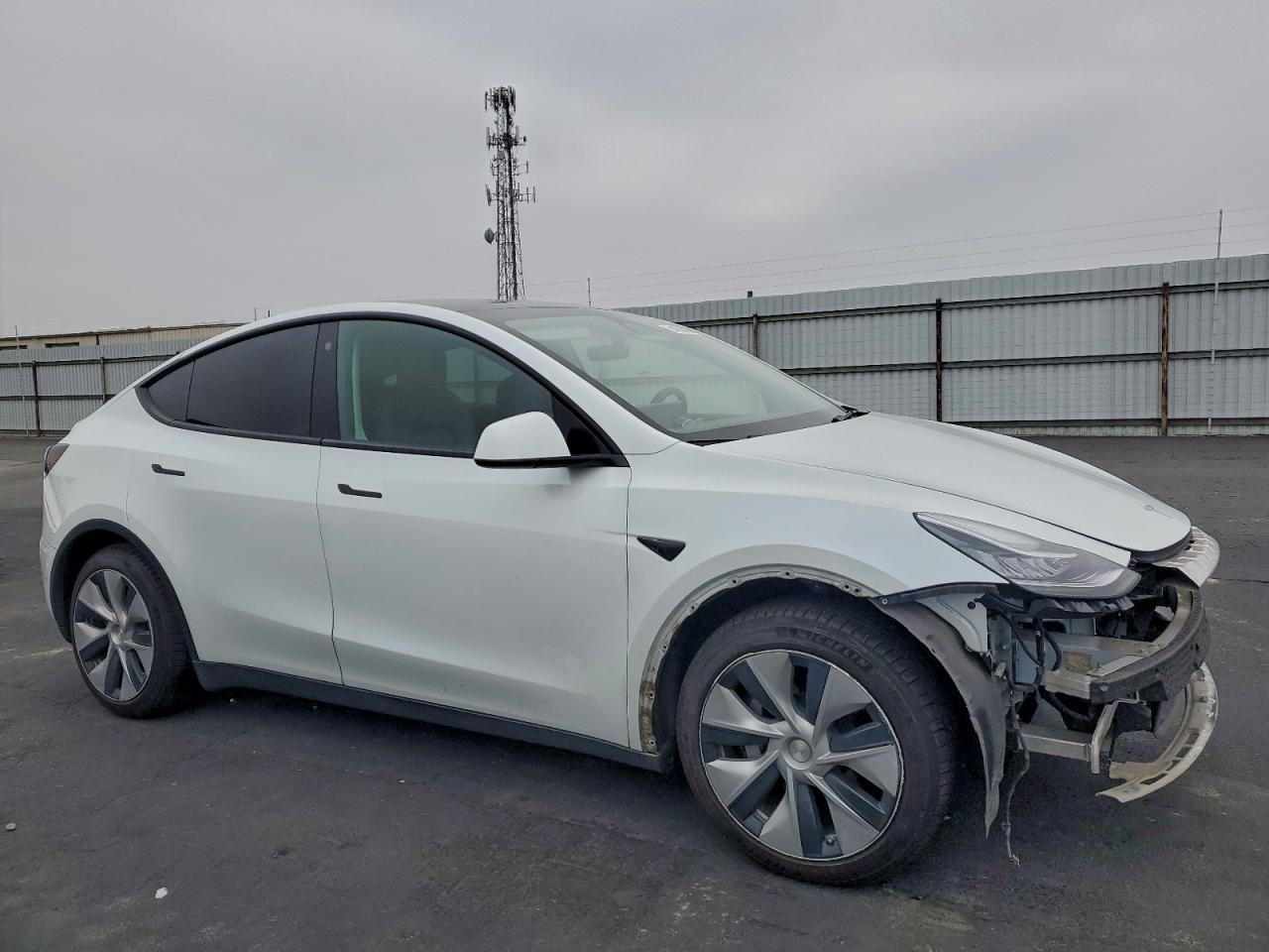 Tesla Model Y Image 2