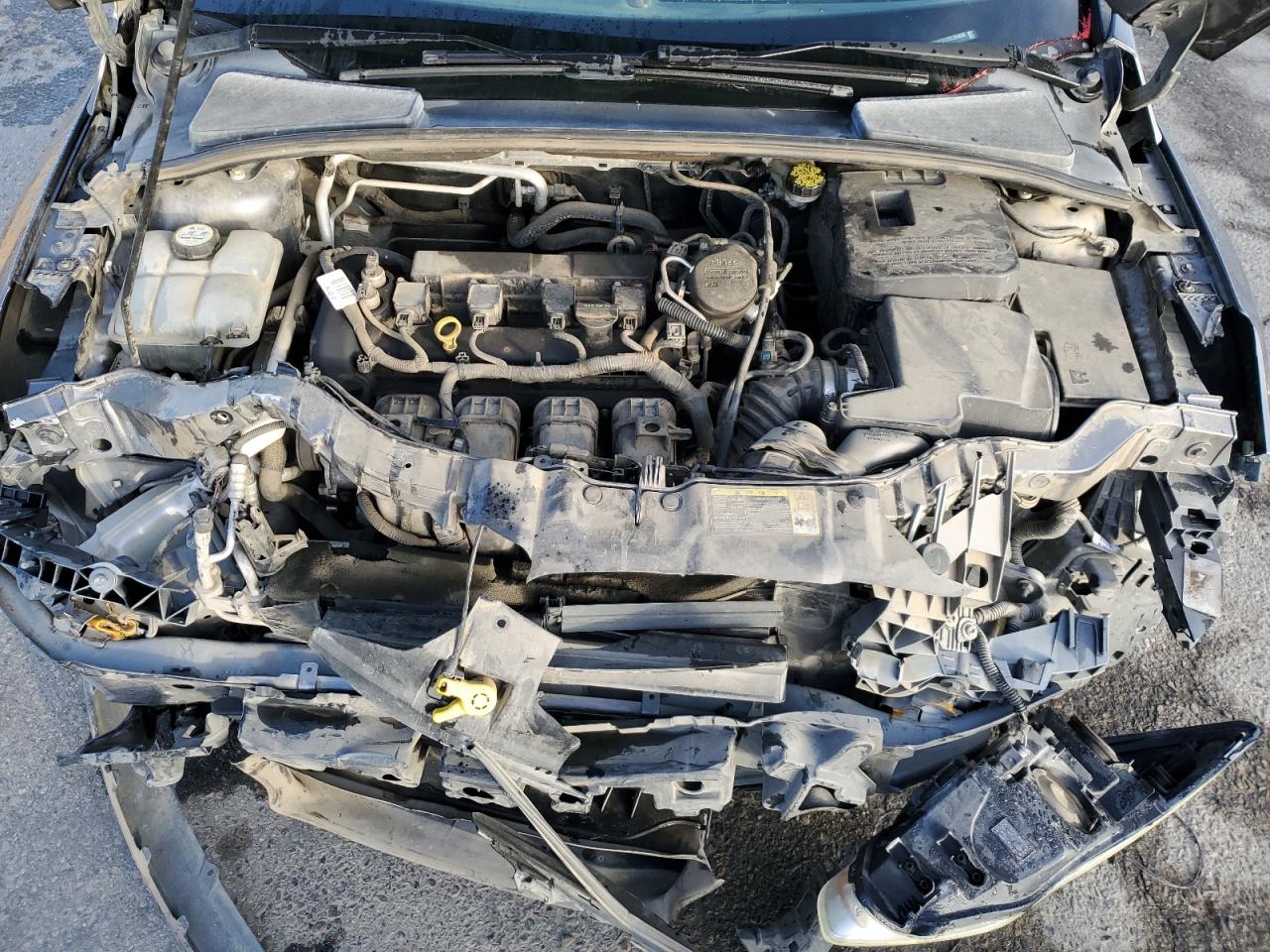 Ford Focus Sel Image 10