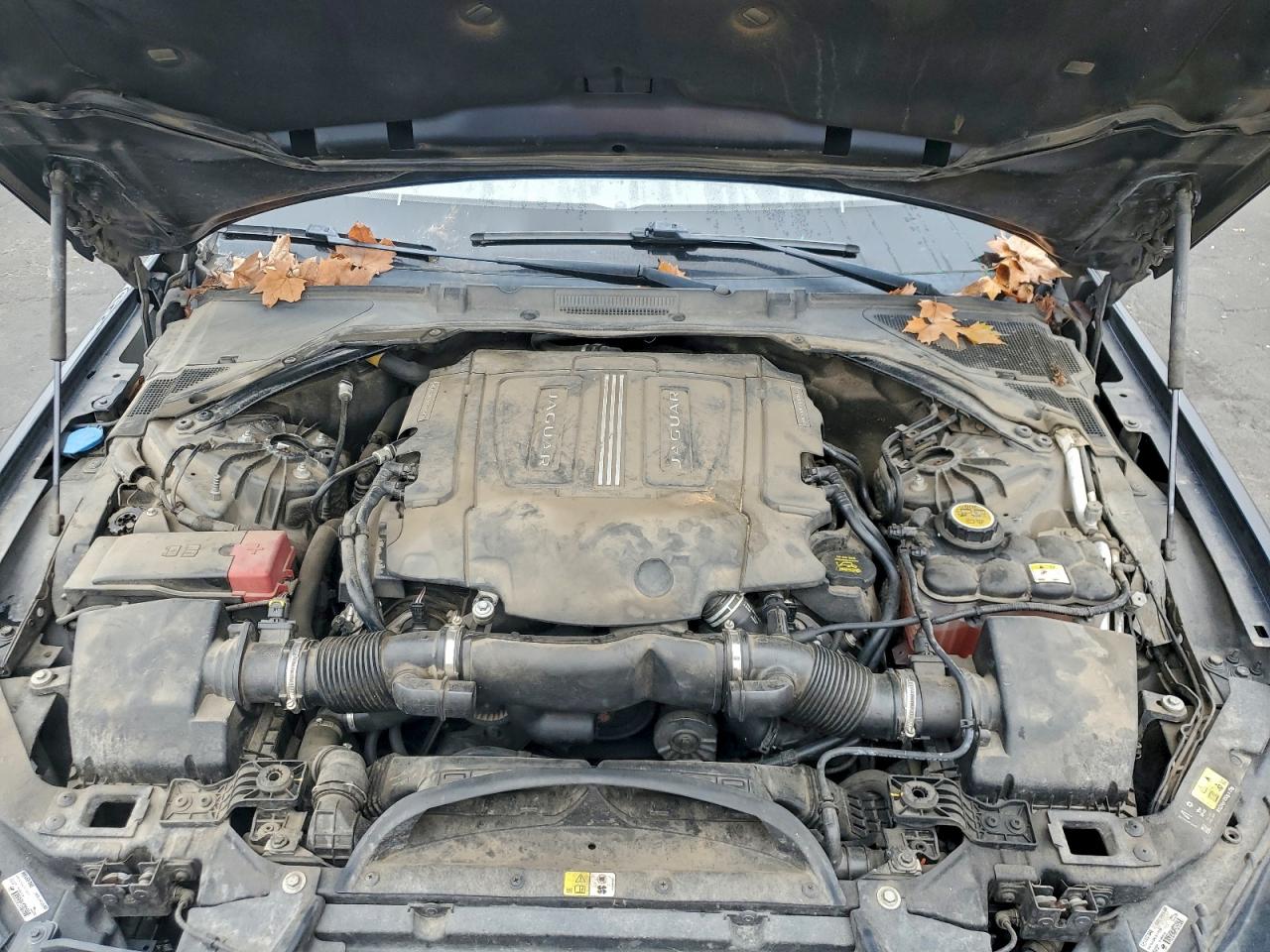 Jaguar XF Prestige Image 12