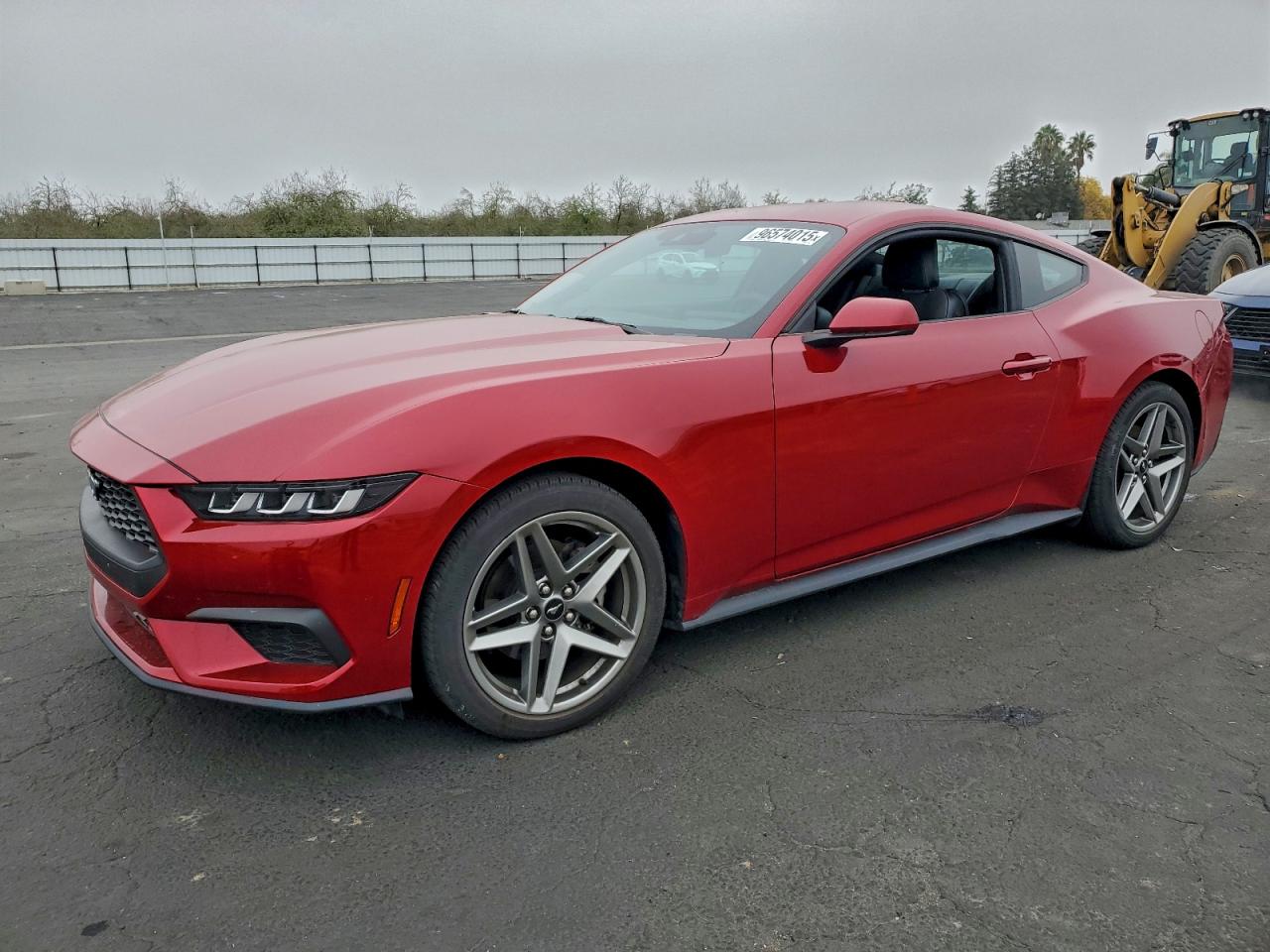 Ford Mustang Image 1