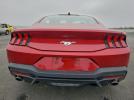 Ford Mustang Image 3